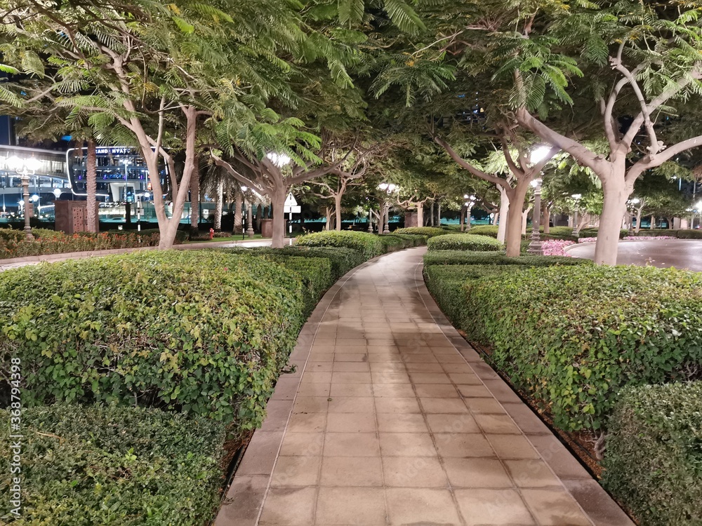 a well-lit paved garden path