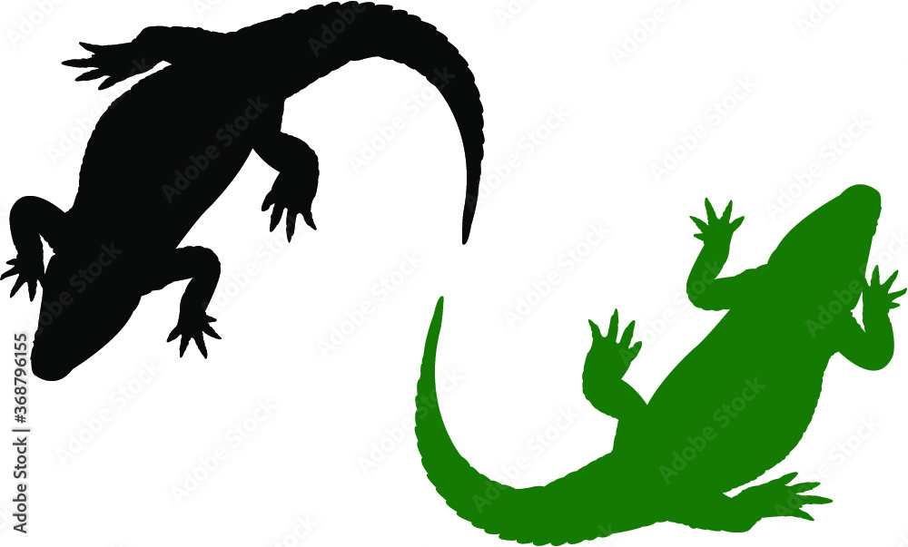 Fototapeta premium silhouette of a alligator