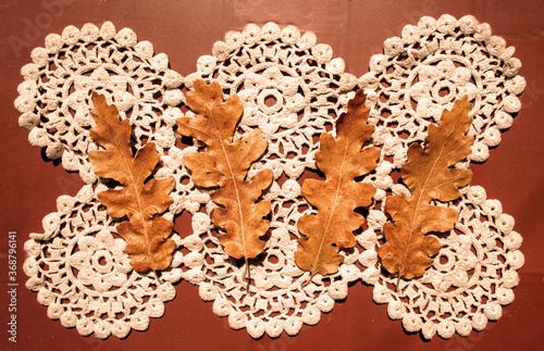 oak leaves and white lace on the brown background