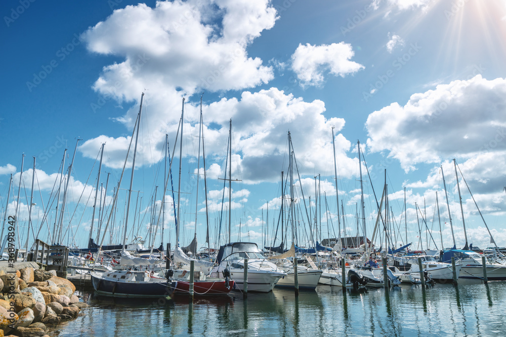 Sailing boats in a marine harbor in the summer