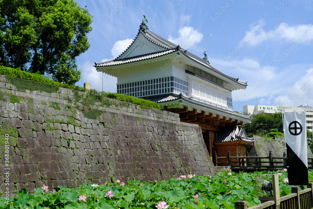 ハスが花開く初夏を迎えた御楼門【アップ】 ハスが花開く初夏を迎えた御楼門【アップ】