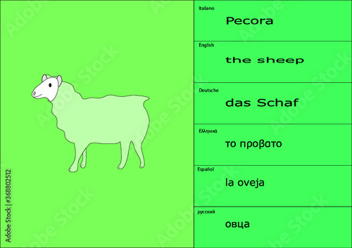 esempio di tovaglietta segnaposto sotto piatto placemate scheda studio da collezione per gioco scuola infanzia pecora pecorella ovino