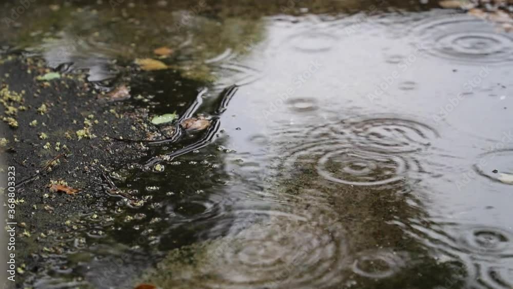 rain drops on water pond in concrete surface with ripples in rainy day rain drops on water pond in concrete surface with ripples in rainy day