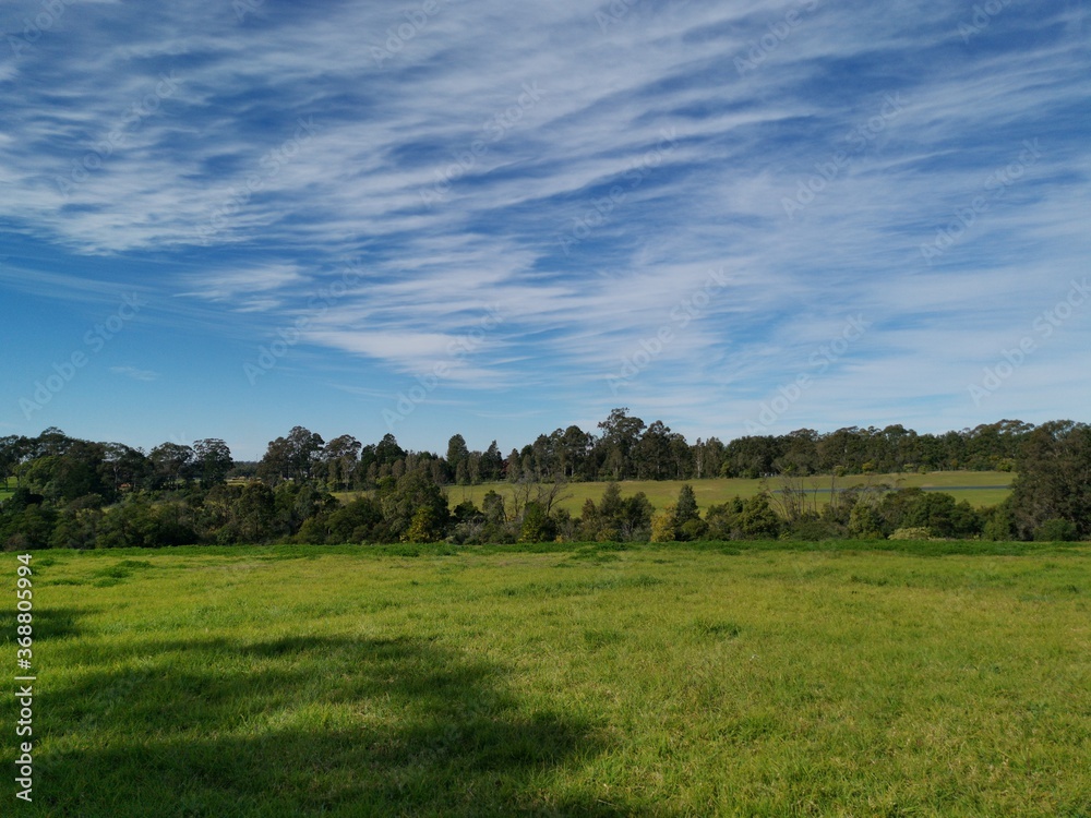 Beautiful afternoon view of a park with green grass, tall trees, deep blue sky with light clouds, Fagan park, Galston, Sydney, New South Wales, Australia