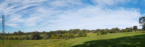 Beautiful afternoon panoramic view of a park with green grass, tall trees, deep blue sky with light clouds, Fagan park, Galston, Sydney, New South Wales, Australia photo