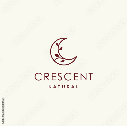 elegant crescent moon and star logo design line icon vector in luxury style outline linear, ramadan kareem, crescent moon and star illustration for background banner, abstract crescent moon logo