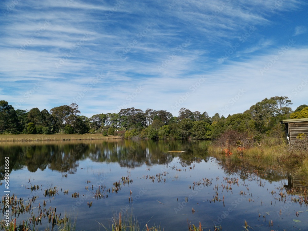 Beautiful afternoon view of a peaceful pond in a park with reflections of deep blue sky, light clouds and trees on water, Fagan park, Galston, Sydney, New South Wales, Australia