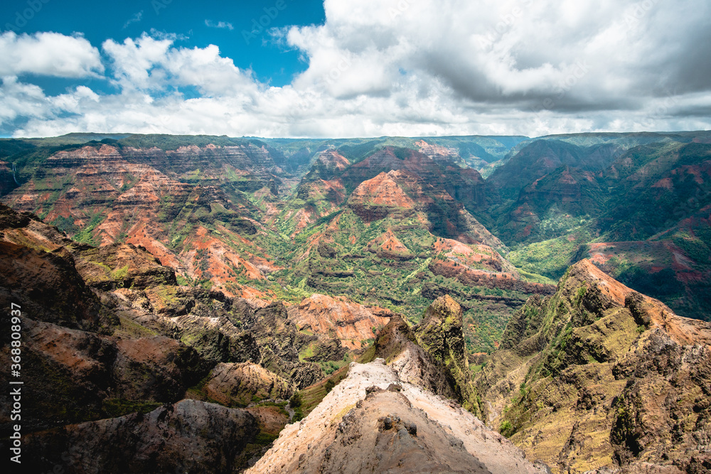 Waimea Canyon State Park and look out