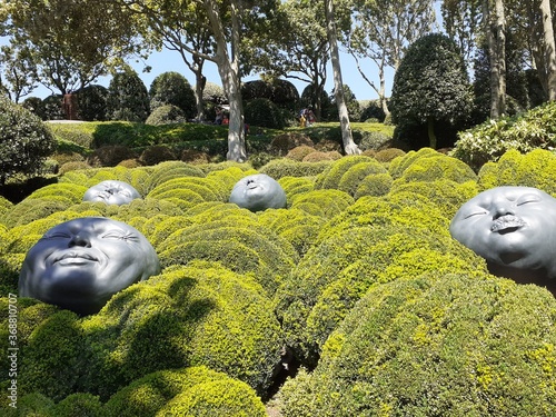 Les jardins d'Etretat