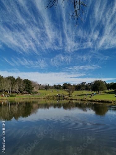 Beautiful afternoon view of a peaceful pond in a park with reflections of deep blue sky, light clouds and trees on water, Fagan park, Galston, Sydney, New South Wales, Australia photo