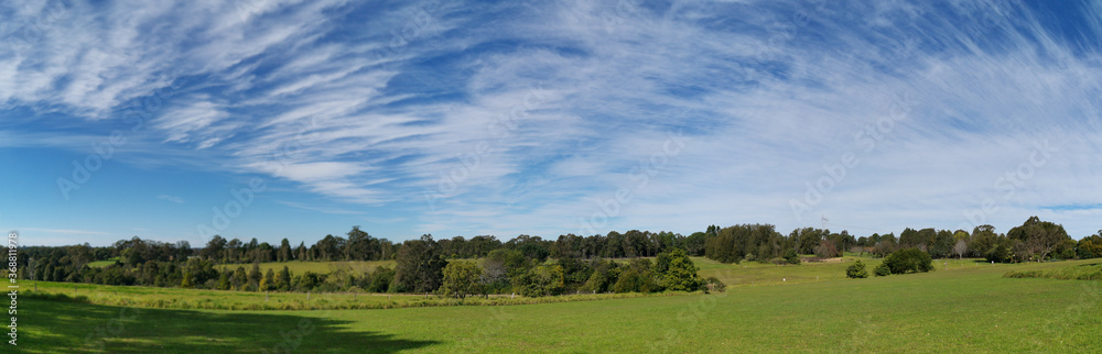 Beautiful afternoon panoramic view of a park with green grass, tall trees, deep blue sky with light clouds, Fagan park, Galston, Sydney, New South Wales, Australia Beautiful afternoon panoramic view of a park with green grass, tall trees, deep blue sky with light clouds, Fagan park, Galston, Sydney, New South Wales, Australia