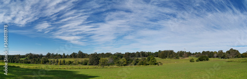 Beautiful afternoon panoramic view of a park with green grass, tall trees, deep blue sky with light clouds, Fagan park, Galston, Sydney, New South Wales, Australia