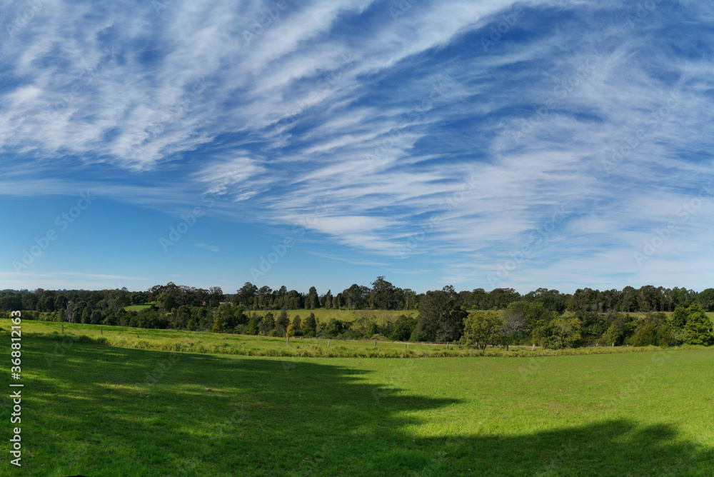Beautiful afternoon panoramic view of a park with green grass, tall trees, deep blue sky with light clouds, Fagan park, Galston, Sydney, New South Wales, Australia Beautiful afternoon panoramic view of a park with green grass, tall trees, deep blue sky with light clouds, Fagan park, Galston, Sydney, New South Wales, Australia