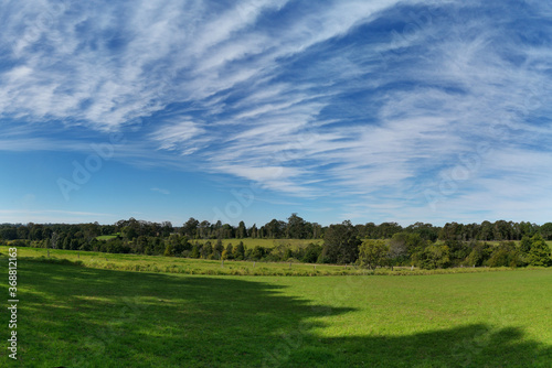 Fototapeta Naklejka Na Ścianę i Meble -  Beautiful afternoon panoramic view of a park with green grass, tall trees, deep blue sky with light clouds, Fagan park, Galston, Sydney, New South Wales, Australia