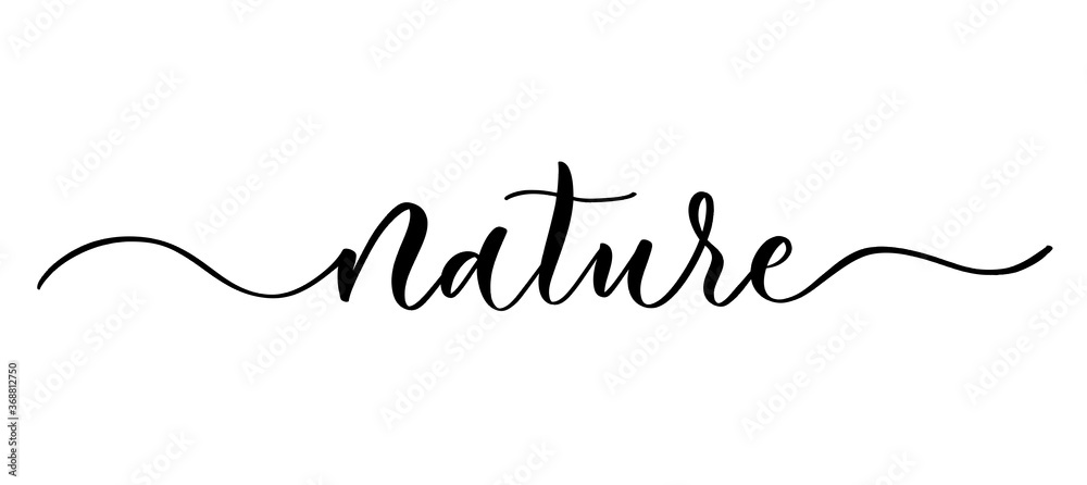 Nature - vector calligraphic inscription with smooth lines. Nature - vector calligraphic inscription with smooth lines.