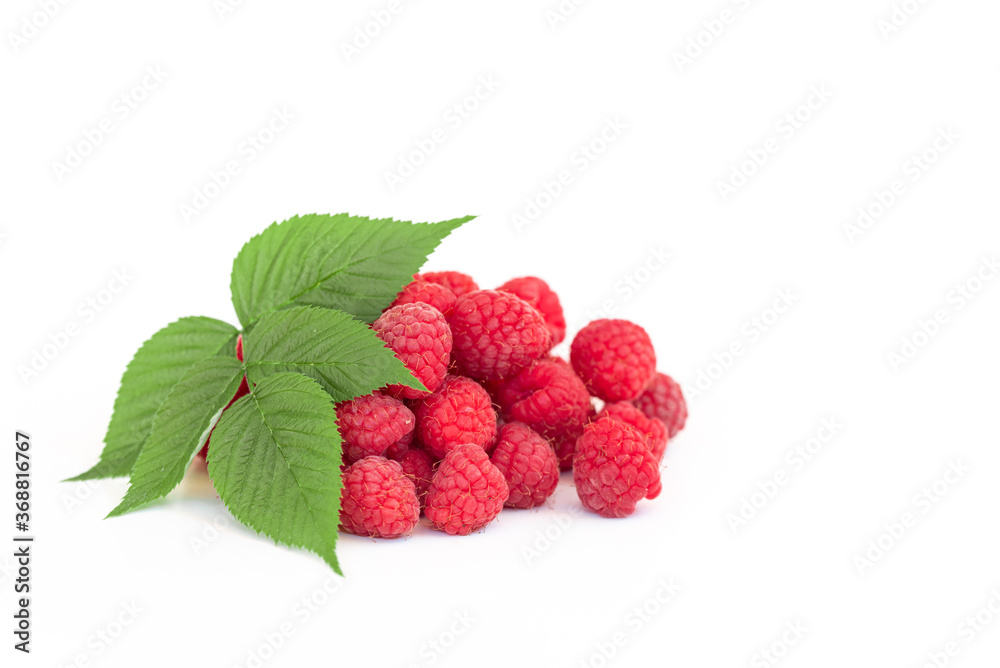 Raspberries on White Background Raspberries on White Background
