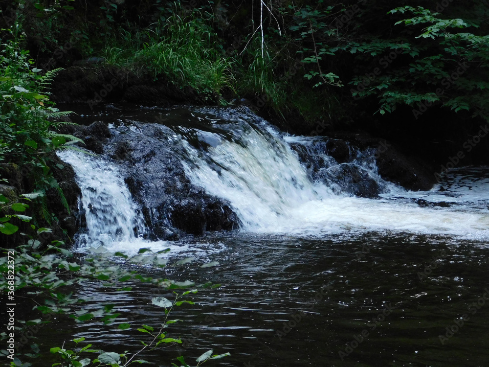 Fototapeta premium small waterfall in the forest