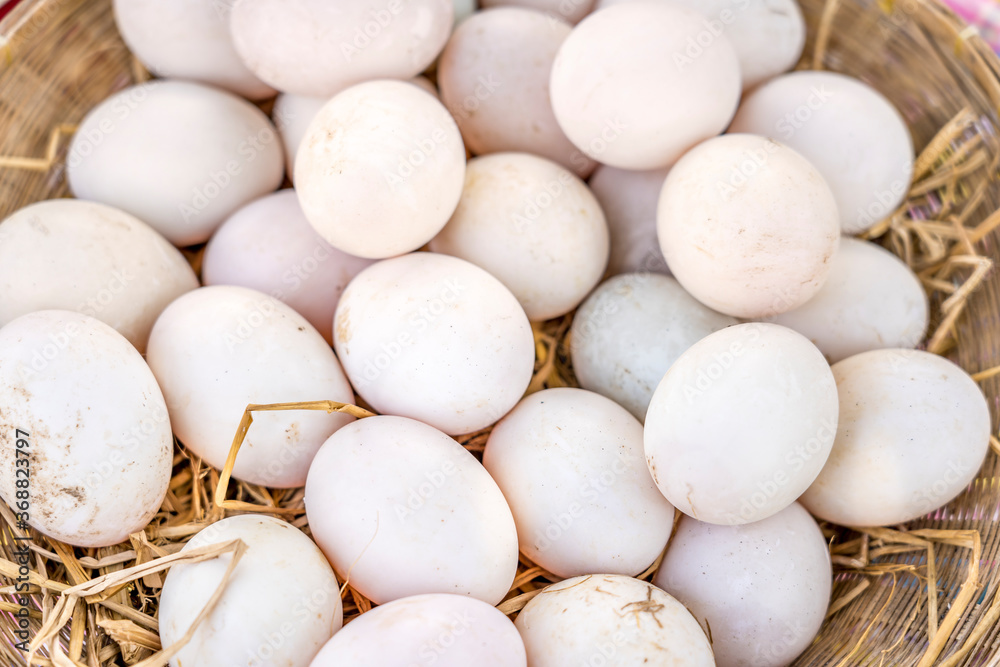 Duck egg on straw.
Four fresh free range duck eggs in a nest of hay. Duck egg on straw.
Four fresh free range duck eggs in a nest of hay.