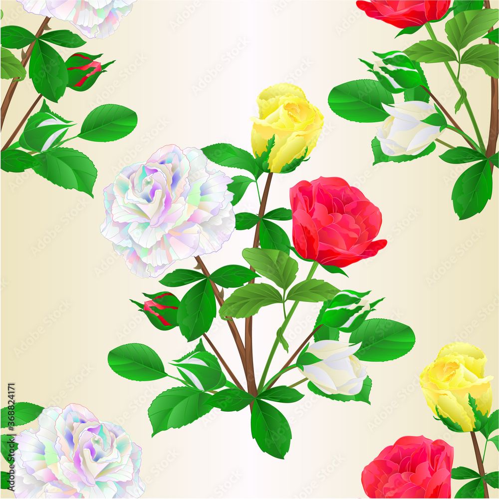 Seamless texture bouquet of roses and rosebuds red white and yellow on   white background watercolor vintage vector botanical illustration editable hand draw
