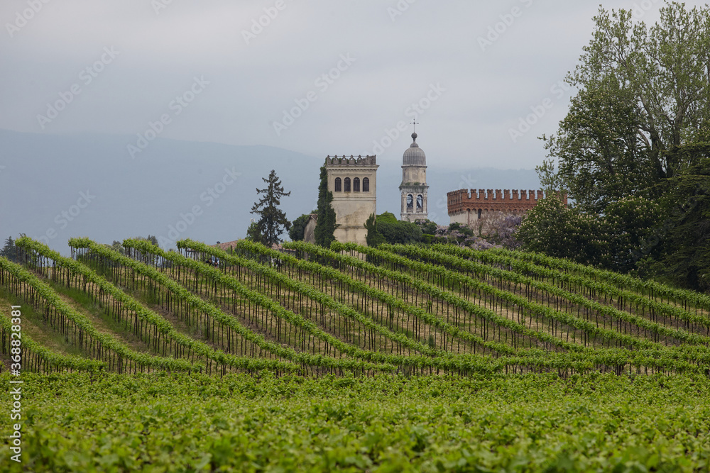 revine; castle; cultivation; hill; cloudy; wine; vineyard; prosecco; italy; treviso; belltower; church; green
