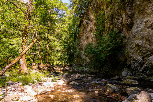 Horizontal View of a River in a forest in a hot summer day at noon