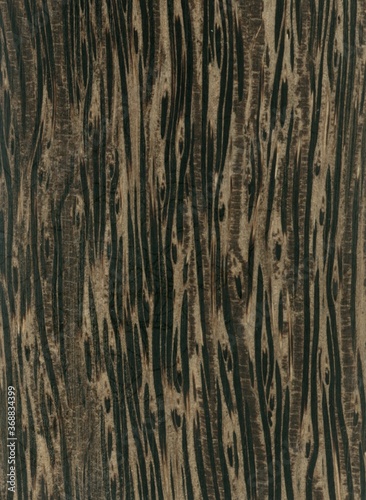 Wood tree exotic pattern asia samples natural