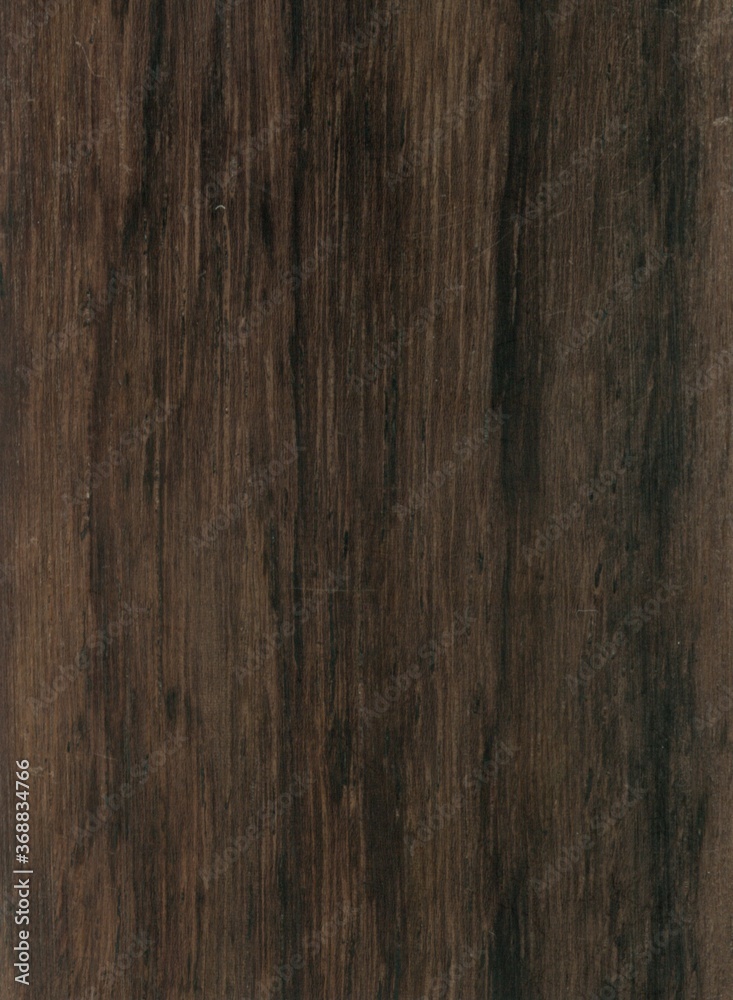 Wood tree exotic pattern asia samples natural Wood tree exotic pattern asia samples natural