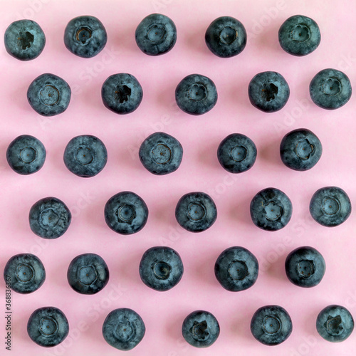 Fresh organic blueberries on pink background. View from above, square format