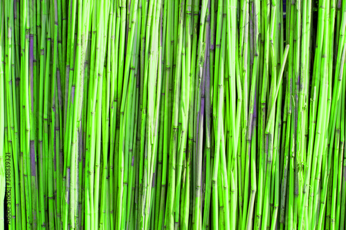 Fototapeta Naklejka Na Ścianę i Meble -  Green bamboo wall texture background