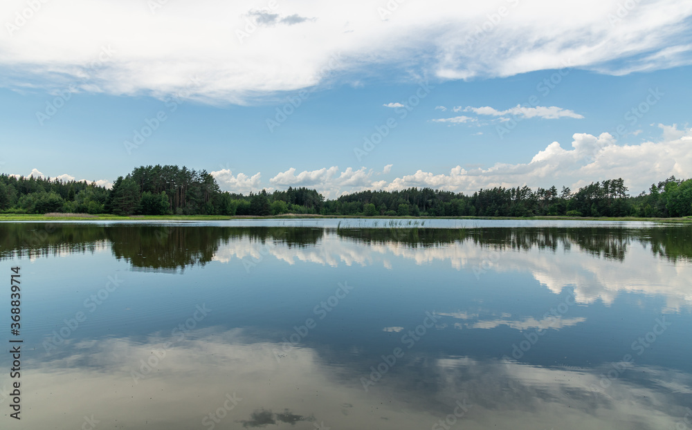 mirrored blue sky with white clouds and forest in a lake surface