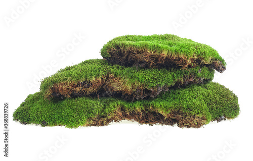 Green moss isolated on a white background. Green mossy hill. Moss pyramid.