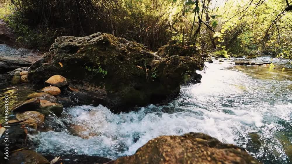 tranquilidad verde sendero naturaleza ramas paseo rural bosque agua vacaciones frondoso piedras tranquilidad verde sendero naturaleza ramas paseo rural bosque agua vacaciones frondoso piedras