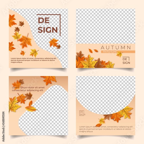 Social media background with autumn leaf theme. Set of layout design for social media with transparent background. Perfect for social media post, story and web internet ad