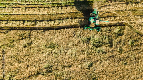 Harvester machine working in field aerial view from above, combine harvester agriculture machine harvesting ripe wheat field 