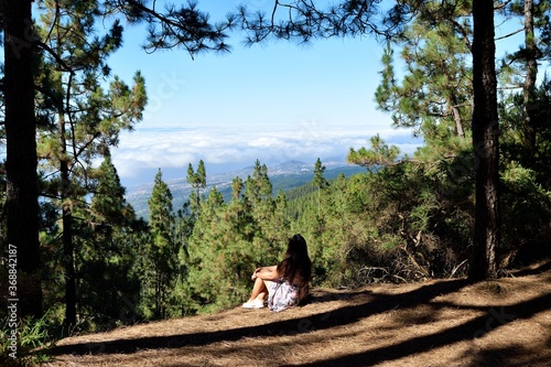 Mujer en medio de un bosque de pinos con vistas.