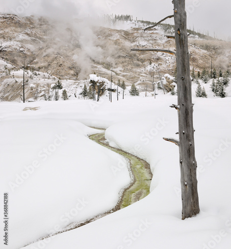 Fumarole steam vents on Roaring Mountain in winter at Yellowstone National Park photo