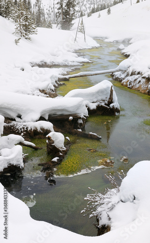 Obsidian Creek with green cyanobacterial mats heated geothermally in winter in Yellowstone Wyoming photo