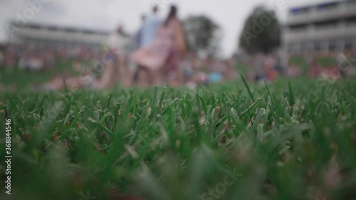 Holy green grass of Tomorrowland Main Stage. Boom, Belgium. photo