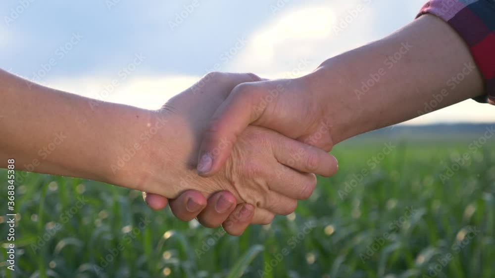 Teamwork. Handshake close-up. A man and a woman, farmers, shake hands. The path to success, collaboration, and victory. The concept of agricultural business