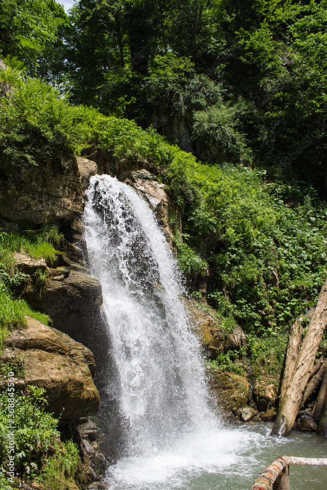 Obraz premium A small waterfall in the forest among trees and grass