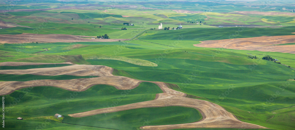 A view from the top of Steptoe Butte of wheat farms in the spring in the Palouse region of eastern Washington. A view from the top of Steptoe Butte of wheat farms in the spring in the Palouse region of eastern Washington.