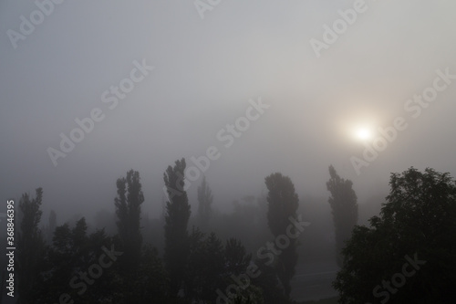 The beautiful landscape in the misty moning.