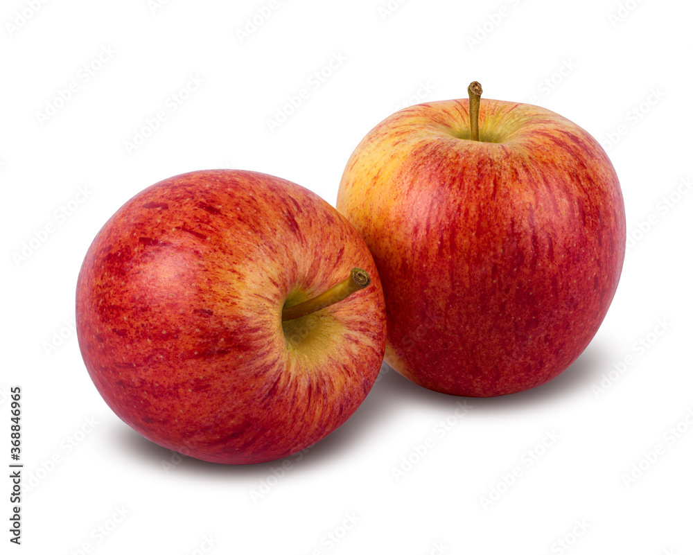 Two red yellow apples, isolated on a white background with clipping path. Two red yellow apples, isolated on a white background with clipping path.