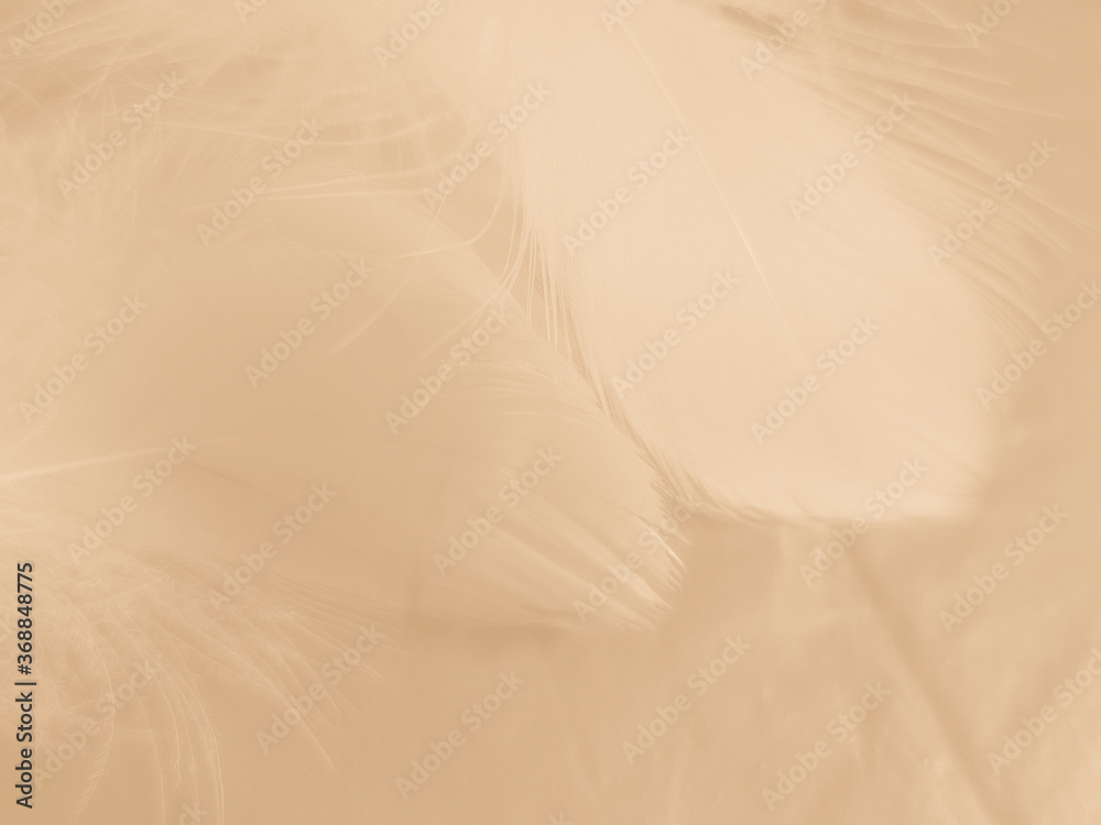 Obraz premium Beautiful abstract white and brown feathers on white background and soft yellow feather texture on white pattern and yellow background, feather background, gold feathers banners