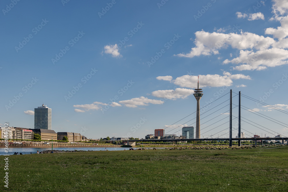 Outdoor sunny scenery of natural promenade and green field on riverside of Rhine River, and background of skyline cityscape of Düsseldorf city  and Rhine Tower, Germany in summer season.