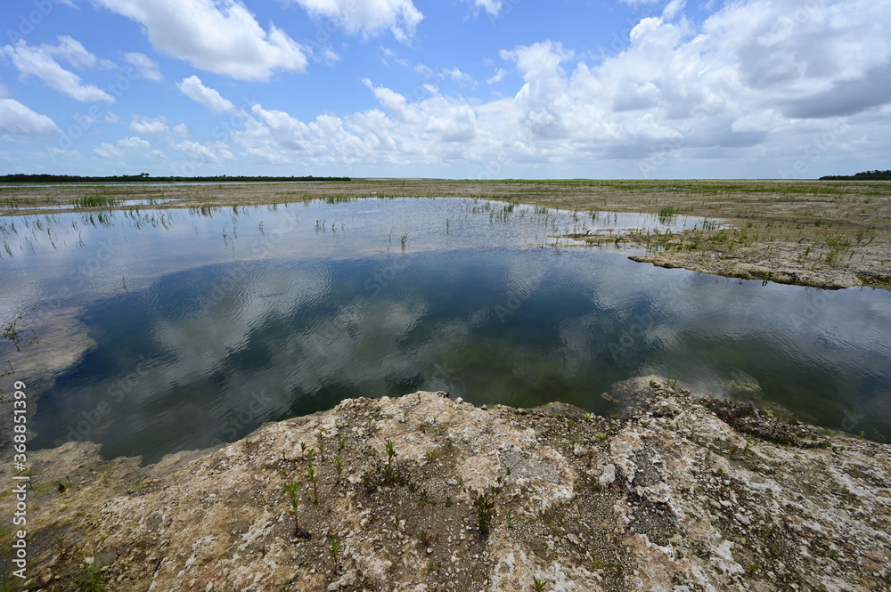 Solution Hole in Hole-In-The-Donut restoration project area in Everglades National Park, Florida under summer cloudscape.