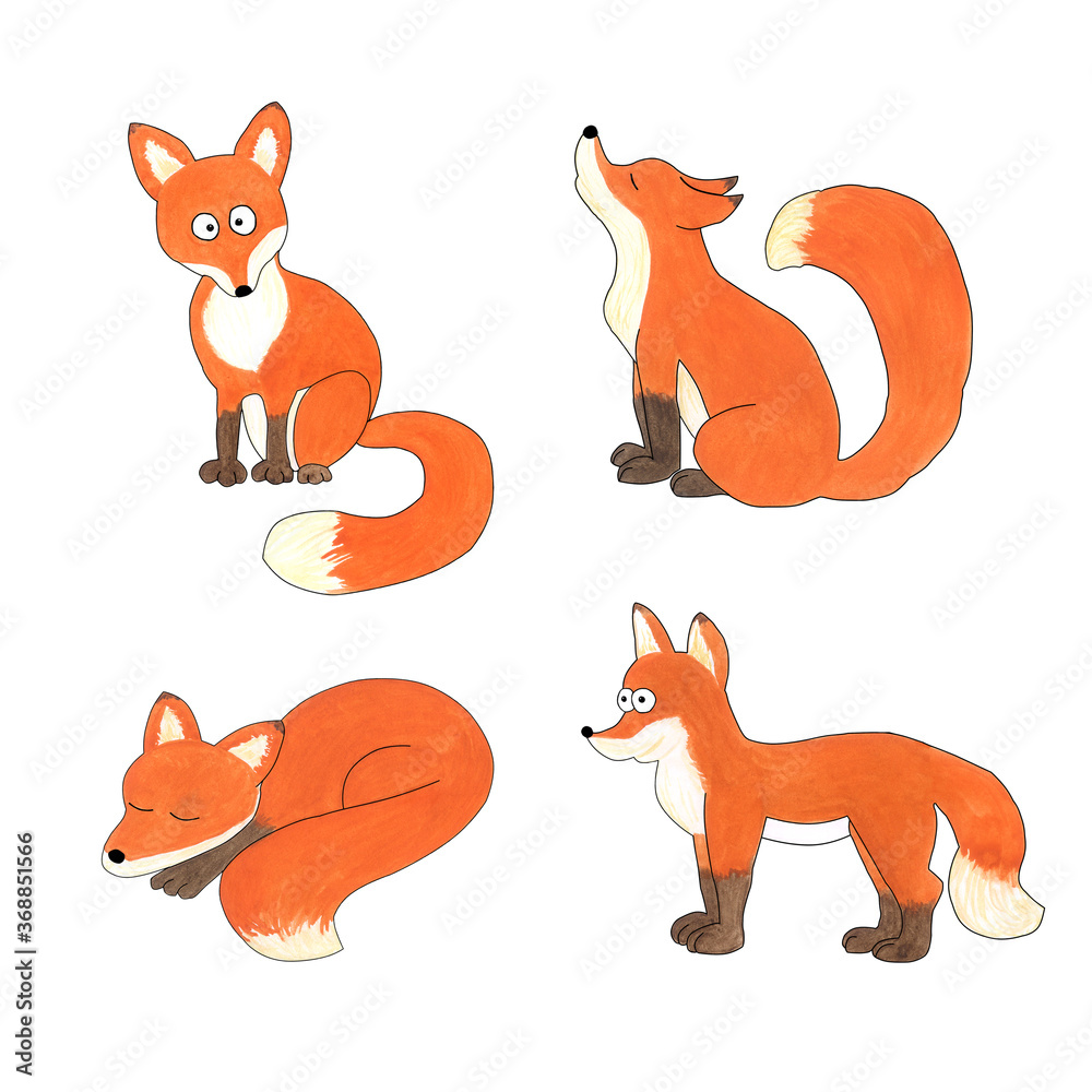 Obraz premium Watercolor illustration of cute foxes. Set of cartoon animals on a white background for printing, t-shirts,postcards, children's design, etc 
