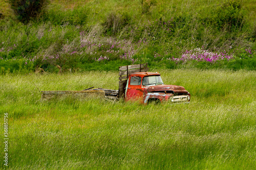 An abandoned farm truck in a green field with flowing grass, in the palouse region of eastern washington.