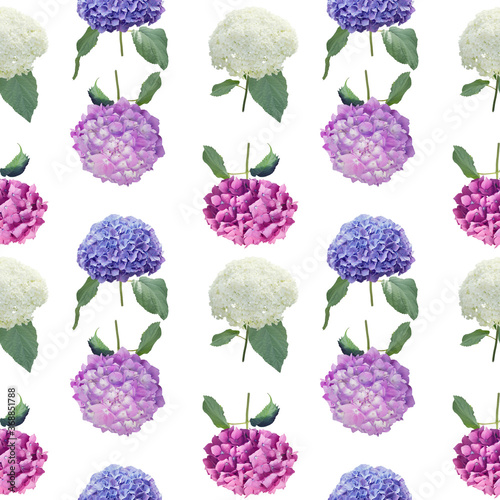 Seamless floral design with hydrangea flowers for background