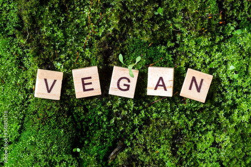 the word vegan. The word vegan is written on a green background of moss. Letters on wooden blocks are added to the word vegan. The view from the top. Banner	